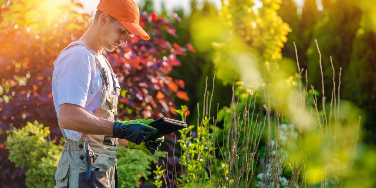 Tonte de la pelouse, élagage des arbres, entretien du jardin, taille des haies, ramassage des végétaux…