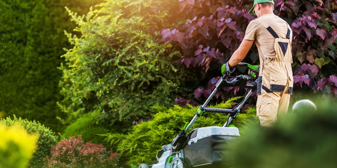 Pourquoi choisir nos services de création de jardin pour les particuliers partout en France ?