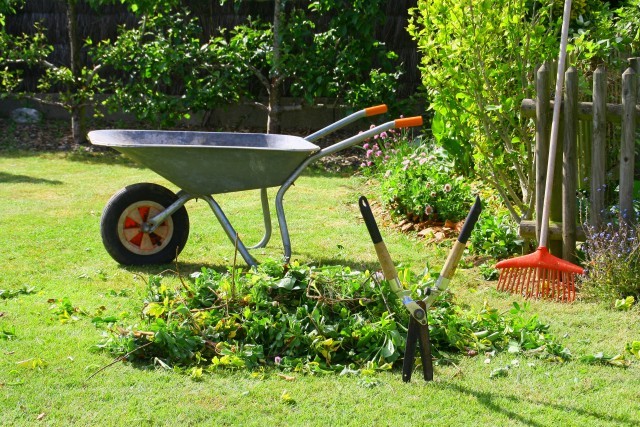 Comment entretenir son jardin ?