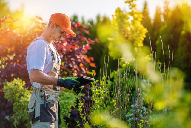 Tonte de la pelouse, élagage des arbres, entretien du jardin, taille des haies, ramassage des végétaux…