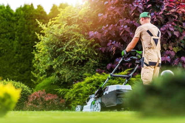 Pourquoi choisir nos services de création de jardin pour les particuliers partout en France ?