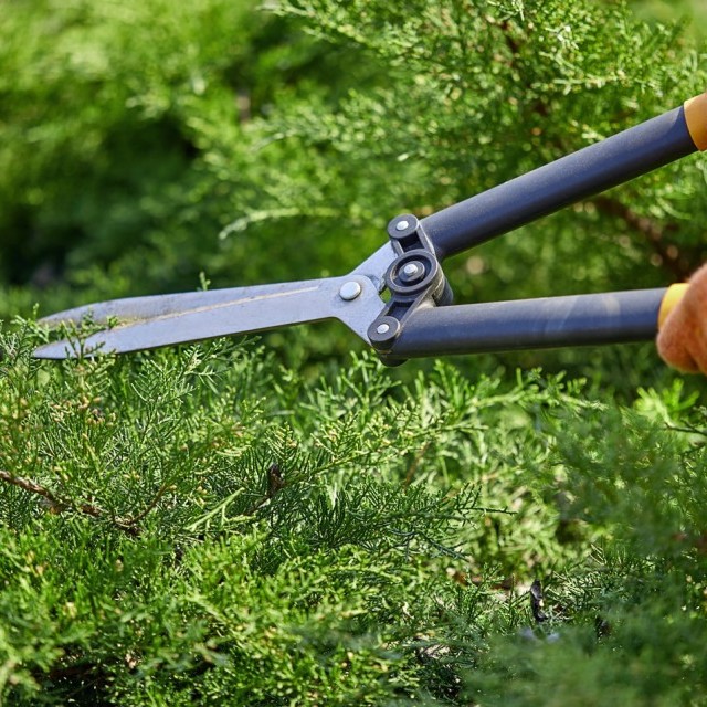 Entretien du Jardin